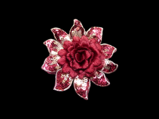 ɽա졼 ڥ󥰥ۡD3314