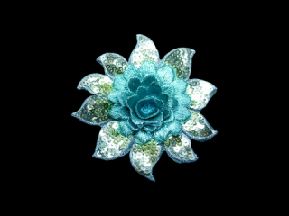 ɽա졼 ڥ󥰥ۡD3317