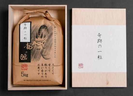 岐阜県 龍の瞳 奇跡の一粒 5kg - ガッツ!うまい米橋本 岐阜県 龍の瞳 奇跡の一粒 5kg - ガッツ!うまい米橋本