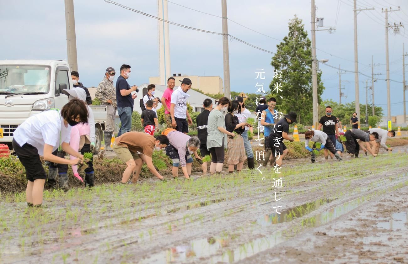 ガッツ うまい米橋本 ガッツ うまい米橋本