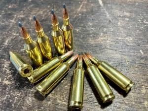 .17 Remington Fire Ball