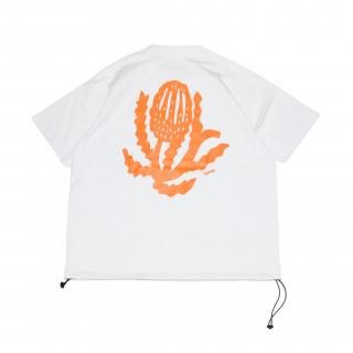 <img class='new_mark_img1' src='https://img.shop-pro.jp/img/new/icons2.gif' style='border:none;display:inline;margin:0px;padding:0px;width:auto;' />CATTA HOUSE-BANKSIA(WHITE)