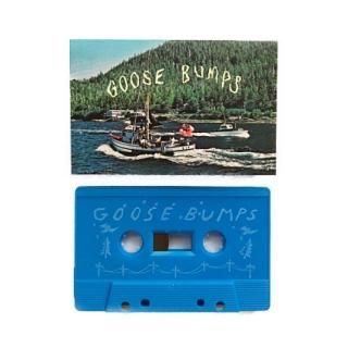 Goose Bumps