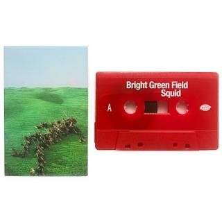 Bright Green Field