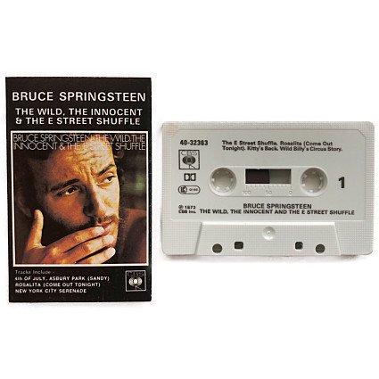 waltz online | Bruce Springsteen | The Wild,The Innocent & The E 