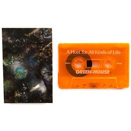 LifeVantage ライフバンテージMBenhance 2個セット　値下げ LifeVantage ライフバンテージMBenhance 2個セット 値下げ