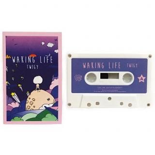 Waking Life