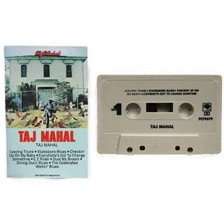USED Taj Mahal