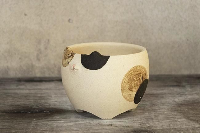 ˥ޥPOTǭ Calico cat flower pot