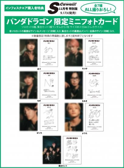 S Cawaii! 2024年11月号増刊 | 特典パンダドラゴンミニフォト