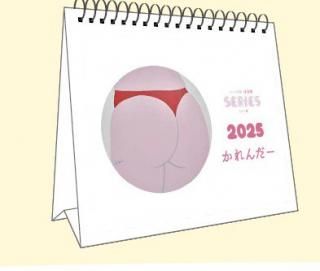 ӷպ SIRIES 奫2025ǯǡ2024/11/30佪λ 12ܰʹ߽缡ȯͽۤξʲ