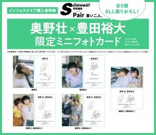 S Cawaii!特別編集 Pair 尊い二人。 【インフォスクエア限定特典:奥野壮×豊田裕大 限定ミニフォトカード(ランダム5種)】の商品画像