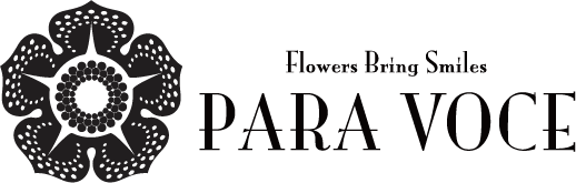  եŹ PARAVOCE ѥܥå Ź