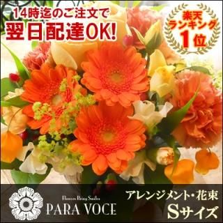 <img class='new_mark_img1' src='https://img.shop-pro.jp/img/new/icons29.gif' style='border:none;display:inline;margin:0px;padding:0px;width:auto;' />ᥤɤΥե󥸥ȡ«S
