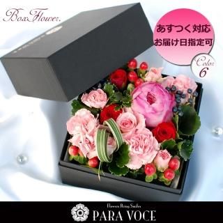 <img class='new_mark_img1' src='https://img.shop-pro.jp/img/new/icons31.gif' style='border:none;display:inline;margin:0px;padding:0px;width:auto;' /> ܥåեS 