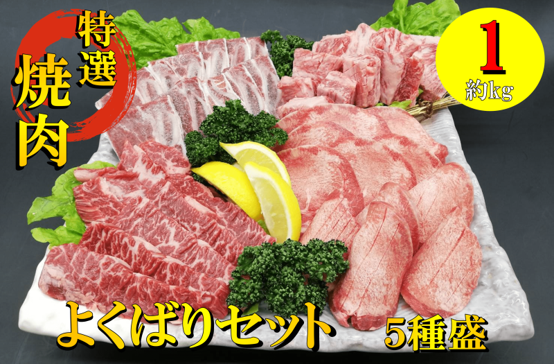̵ھåȡۤ褯Фꥻå 1000g<img class='new_mark_img2' src='https://img07.shop-pro.jp/PA01395/067/etc_base64/MTc3NDQxNDM2.png?cmsp_timestamp=20231004162410' style='border:none;display:inline;margin:0px;padding:0px;width:auto;' />