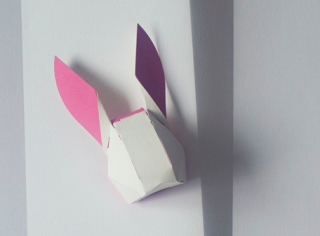 head box rabbit / 