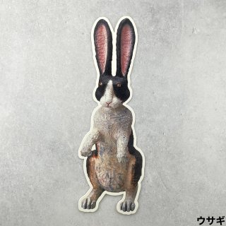 【三沢厚彦】アニマルズポストカード ウサギ
