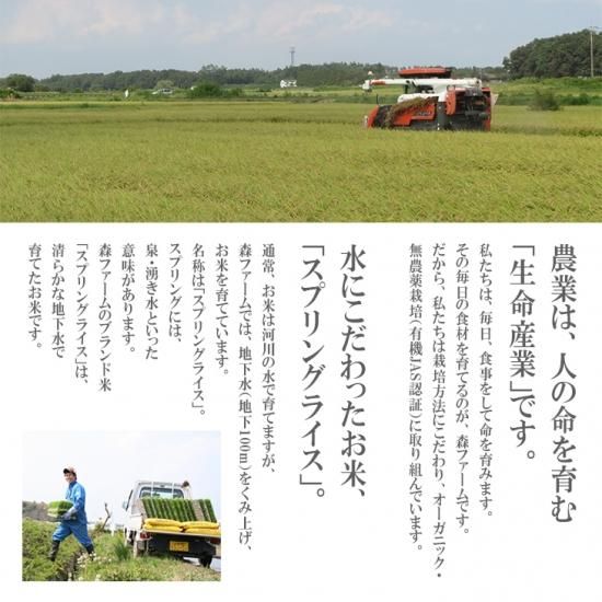 ミルキークイーン | 無農薬 | 玄米5kg | 茨城 | 農家の米屋森
