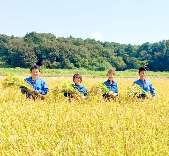 ミルキークイーン | 無農薬 | 玄米2kg | 茨城 | 農家の米屋森 ミルキークイーン | 無農薬 | 玄米2kg | 茨城 | 農家の米屋森