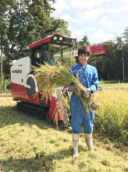 ミルキークイーン | 無農薬 | 白米5kg | 茨城 | 農家の米屋森 ミルキークイーン | 無農薬 | 白米5kg | 茨城 | 農家の米屋森