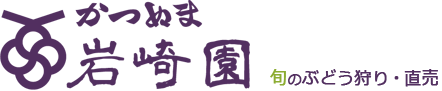 旬のぶどう狩り・直売 かつぬま岩崎園