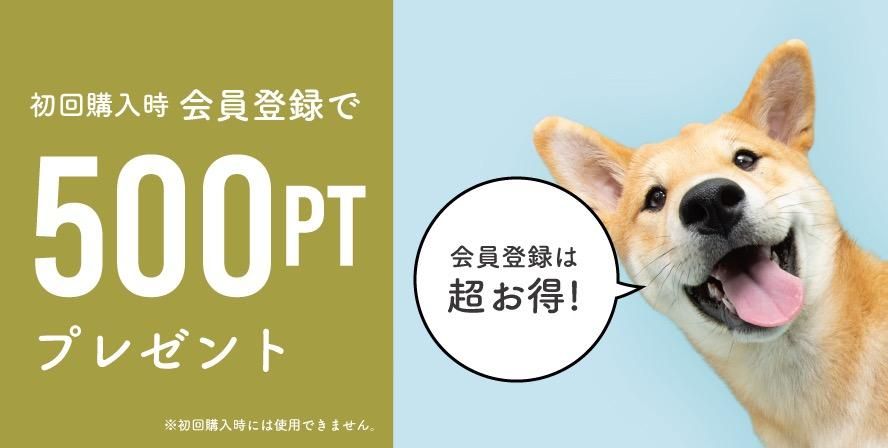 500ݥȥץ쥼