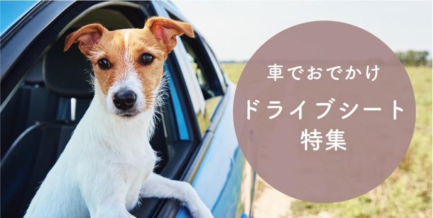 Фɥ饤֥