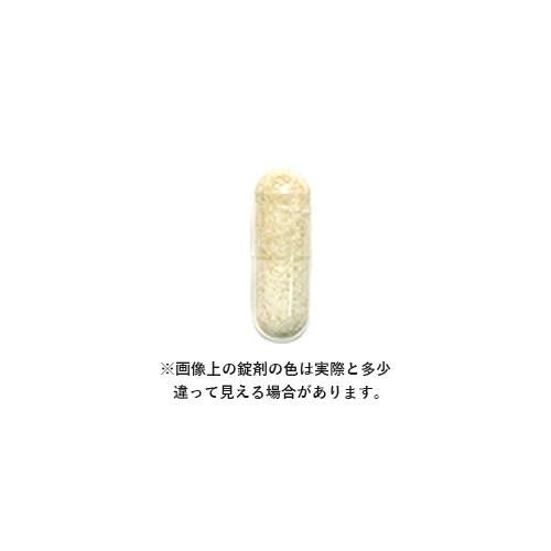 【送料無料】 マイトマックス スーパー 大型・中型犬用 60カプセル 【共立製薬】 - 犬猫用療法食、観賞魚の専門通販|ペットのいる暮らしのお店 ペット家族