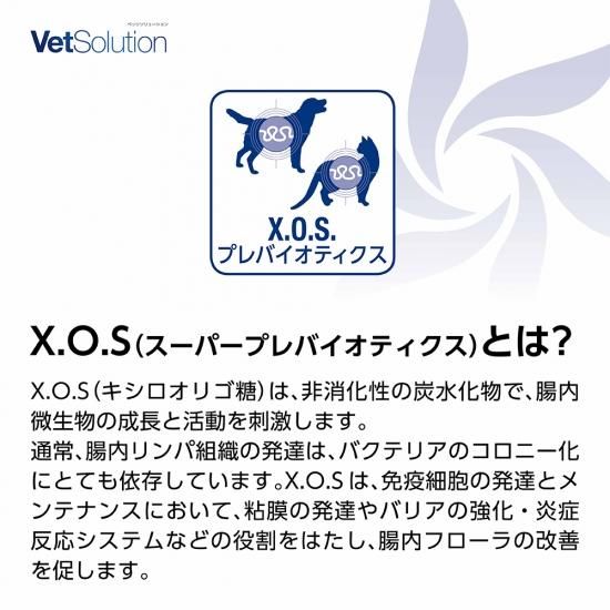 Vetsolution 犬用 心臓サポート 2kg Monge 犬 療法食 心不全 疾患 ベッツソリューション 犬猫用療法食 観賞魚の専門通販 ペットのいる暮らしのお店 ペット家族 Vetsolution 犬用 心臓サポート 2kg Monge 犬 療法食 心不全 疾患 ベッツソリューション 犬猫用療法食 観賞魚の専門通販 ペットのいる暮らしのお店 ペット家族