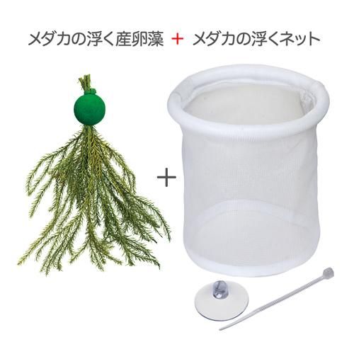 メダカの稚魚育成セット スドー 犬猫用療法食 観賞魚の専門通販 ペットのいる暮らしのお店 ペット家族 メダカの稚魚育成セット スドー 犬猫用療法食 観賞魚の専門通販 ペットのいる暮らしのお店 ペット家族