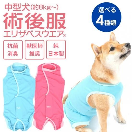 メール便配送可 術後服 エリザベスウエア 男の子用 女の子用 ダックス 中型犬用 すとろーはうす 正規品 犬猫用療法食 観賞魚の専門通販 ペットのいる暮らしのお店 ペット家族 メール便配送可 術後服 エリザベスウエア 男の子用 女の子用 ダックス 中型犬用 すとろーはうす 正規品 犬猫用療法食 観賞魚の専門通販 ペットのいる暮らしのお店 ペット家族