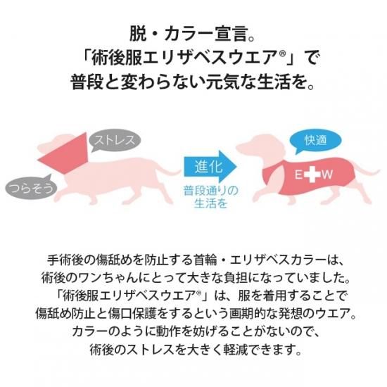 メール便配送可 術後服 エリザベスウエア 男の子用 女の子用 ダックス 中型犬用 すとろーはうす 正規品 犬猫用療法食 観賞魚の専門通販 ペットのいる暮らしのお店 ペット家族 メール便配送可 術後服 エリザベスウエア 男の子用 女の子用 ダックス 中型犬用 すとろーはうす 正規品 犬猫用療法食 観賞魚の専門通販 ペットのいる暮らしのお店 ペット家族