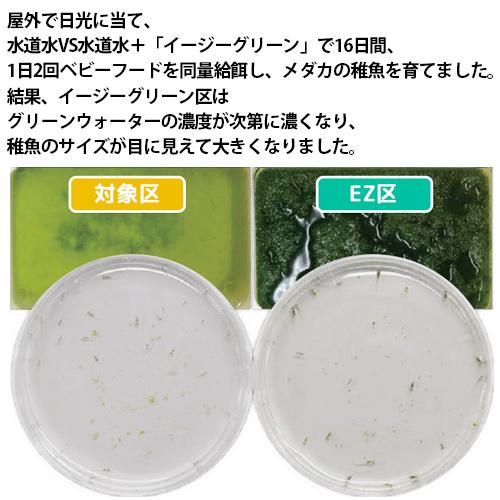 イージーグリーン 0ml キョーリン 植物プランクトン培養液 犬猫用療法食 観賞魚の専門通販 ペットのいる暮らしのお店 ペット家族 イージーグリーン 0ml キョーリン 植物プランクトン培養液 犬猫用療法食 観賞魚の専門通販 ペットのいる暮らしのお店 ペット家族
