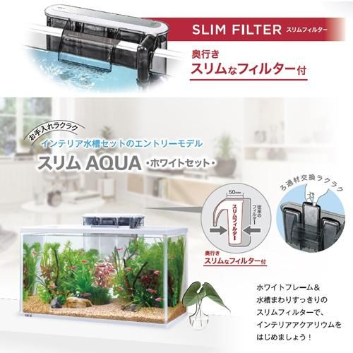 スリムアクアホワイトセット500 Gex 水槽セット 犬猫用療法食 観賞魚の専門通販 ペットのいる暮らしのお店 ペット家族 スリムアクアホワイトセット500 Gex 水槽セット 犬猫用療法食 観賞魚の専門通販 ペットのいる暮らしのお店 ペット家族