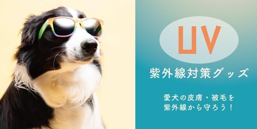 ペットサプリメント活用ガイド　獣医さんや飼い主さんにおすすめ Amazon.co.jp: ペットサプリメント活用ガイド : 左向敏紀 松本