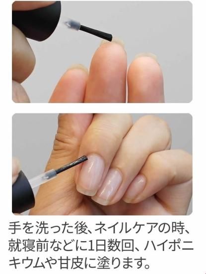 LCNダイヤモンドパワー&アンティセプト2点セット(送料無料 LCNダイヤモンドパワー&アンティセプト2点セット(送料無料
