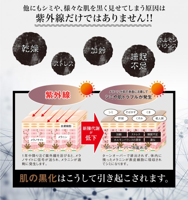 70%OFFメラノブラン ホワイトマルチヴェール（90カプセル）飲む&UVケア【定価19,440円】/ホワイトニング/シミ/くすみ/日焼け/ -  More Beautiful｜ラピスティ化粧品・ヒト幹細胞化粧品などビューティー専門店