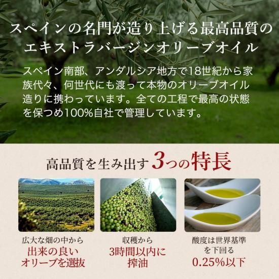 りゅ様専用ページです～⋯Olive＆レタリング⋯翻訳プレート付き パオ様専用