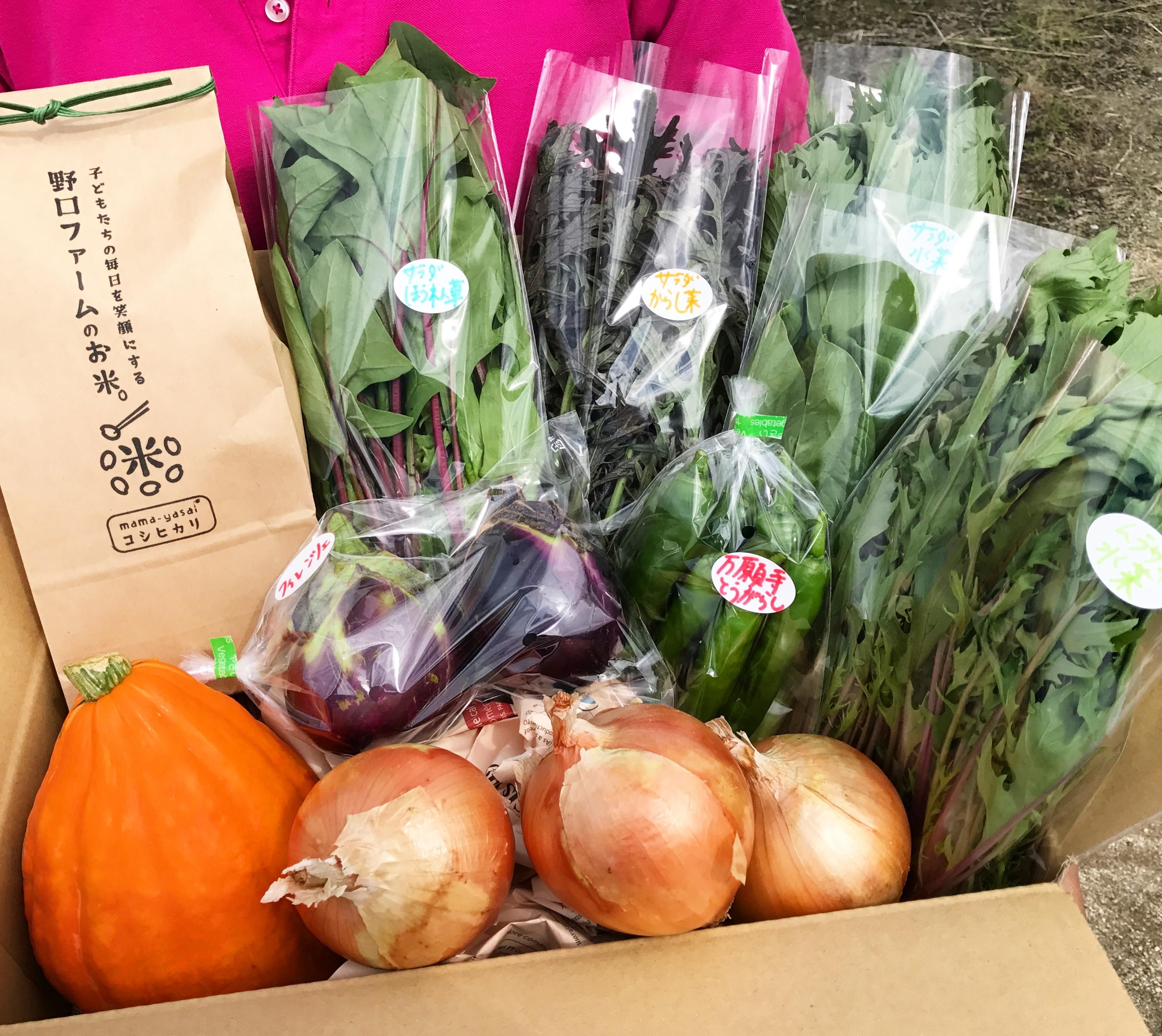 mama-yasaiセット | 旬のおかわり野菜 - 野口ファーム Online-shop mama-yasaiセット | 旬のおかわり野菜 - 野口ファーム Online-shop