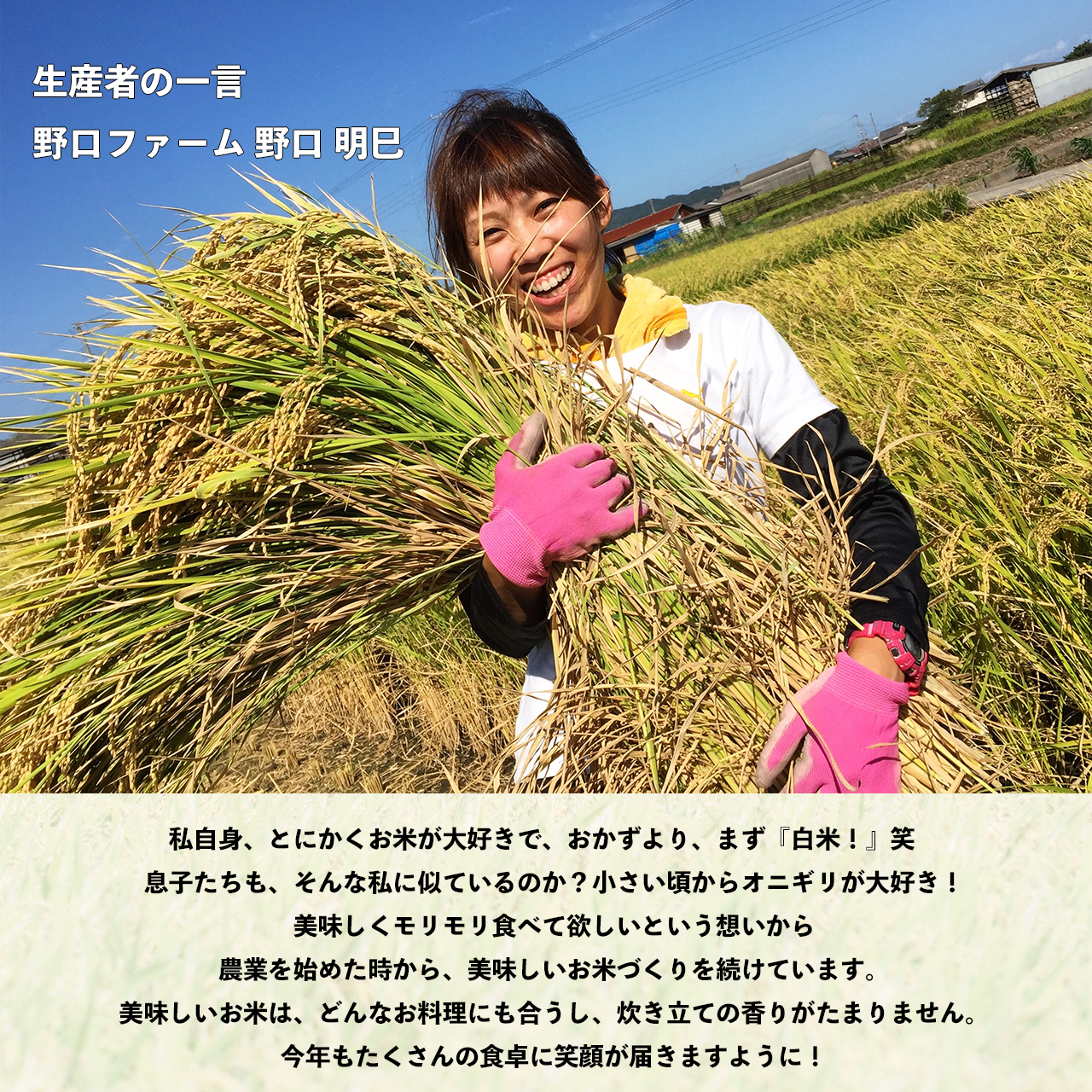 淡路産《純米コシヒカリ》(2kg) | 商品紹介 | 淡路島でお