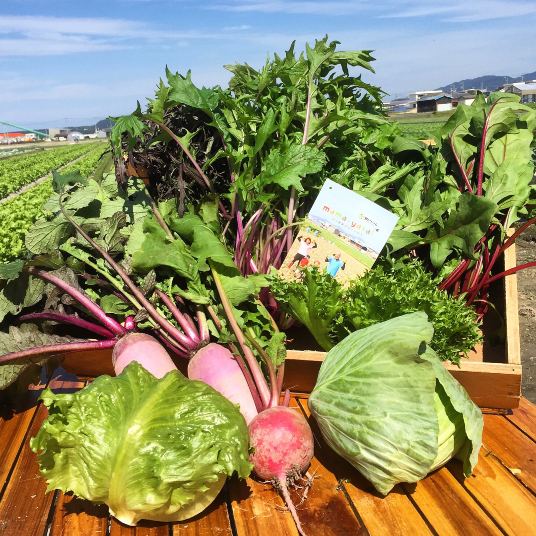 旬のおかわり野菜セット | mama-yasai - 野口ファーム Online-shop