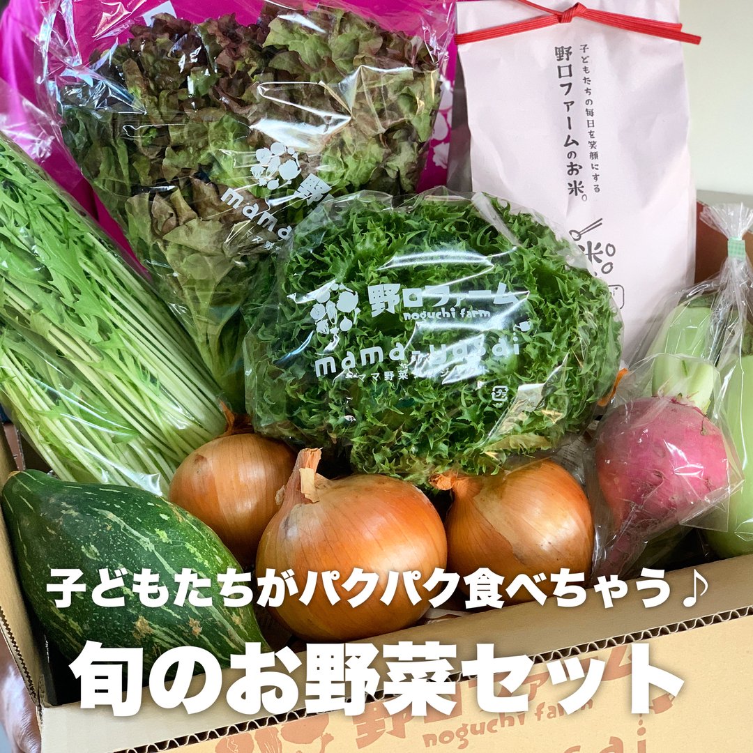 mama-yasai 旬のおかわり野菜セット【お試し】【Ｓサイズ】