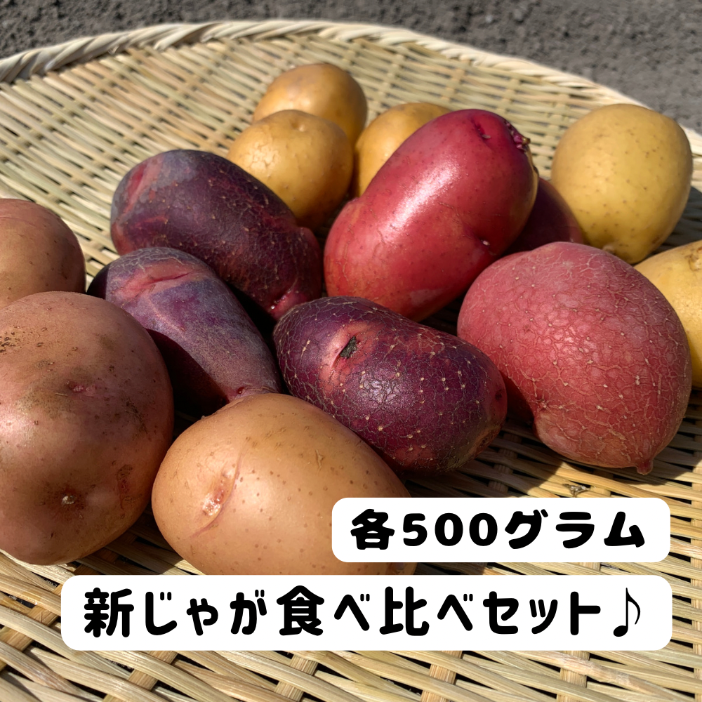 <img class='new_mark_img1' src='https://img.shop-pro.jp/img/new/icons1.gif' style='border:none;display:inline;margin:0px;padding:0px;width:auto;' />mama-yasai 㤬١Ϥޤͤԥåȡڴָ