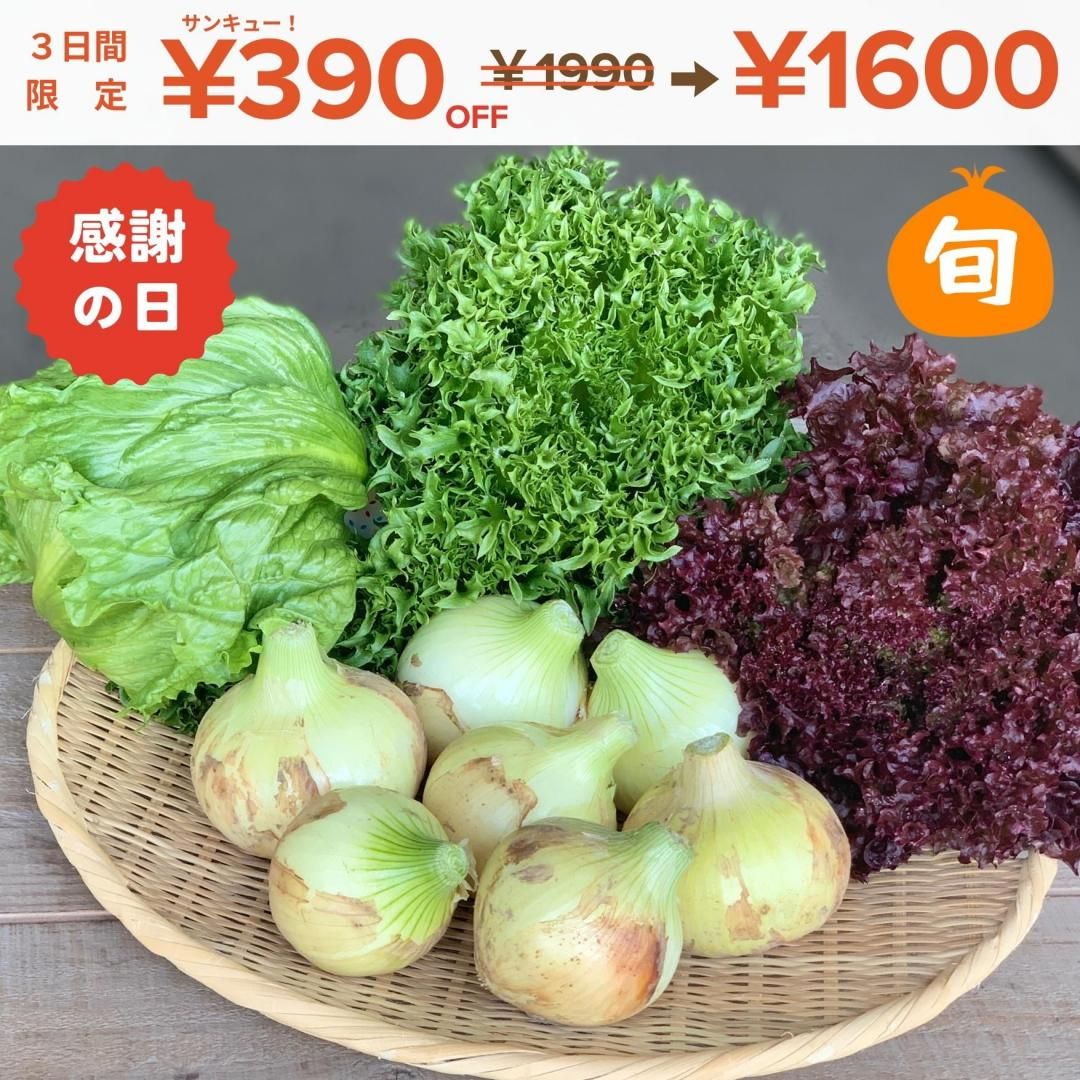 <img class='new_mark_img1' src='https://img.shop-pro.jp/img/new/icons20.gif' style='border:none;display:inline;margin:0px;padding:0px;width:auto;' />ڣָꡪOFFդοޡư쥿åȢ