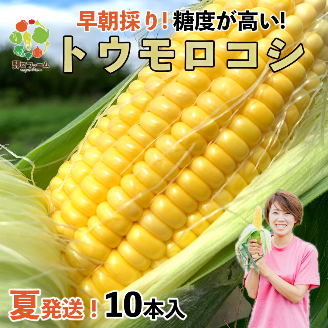  【大人気】【予約】 mama-yasai トウモロコシ 10本セット 