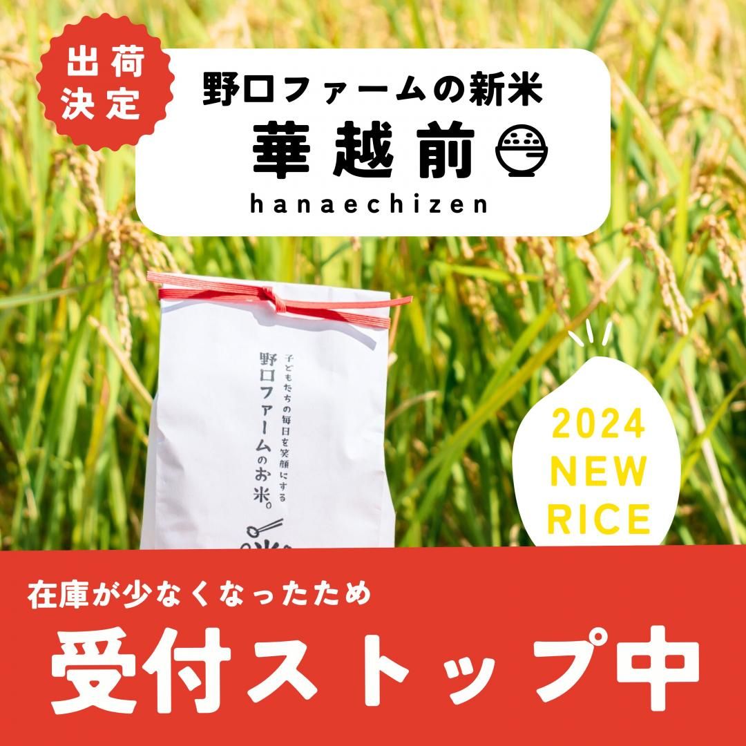 ڻĤ鷺£ǯ  mama-yasai ϥʥ 5kgڻҶдˤ롢եΤơ