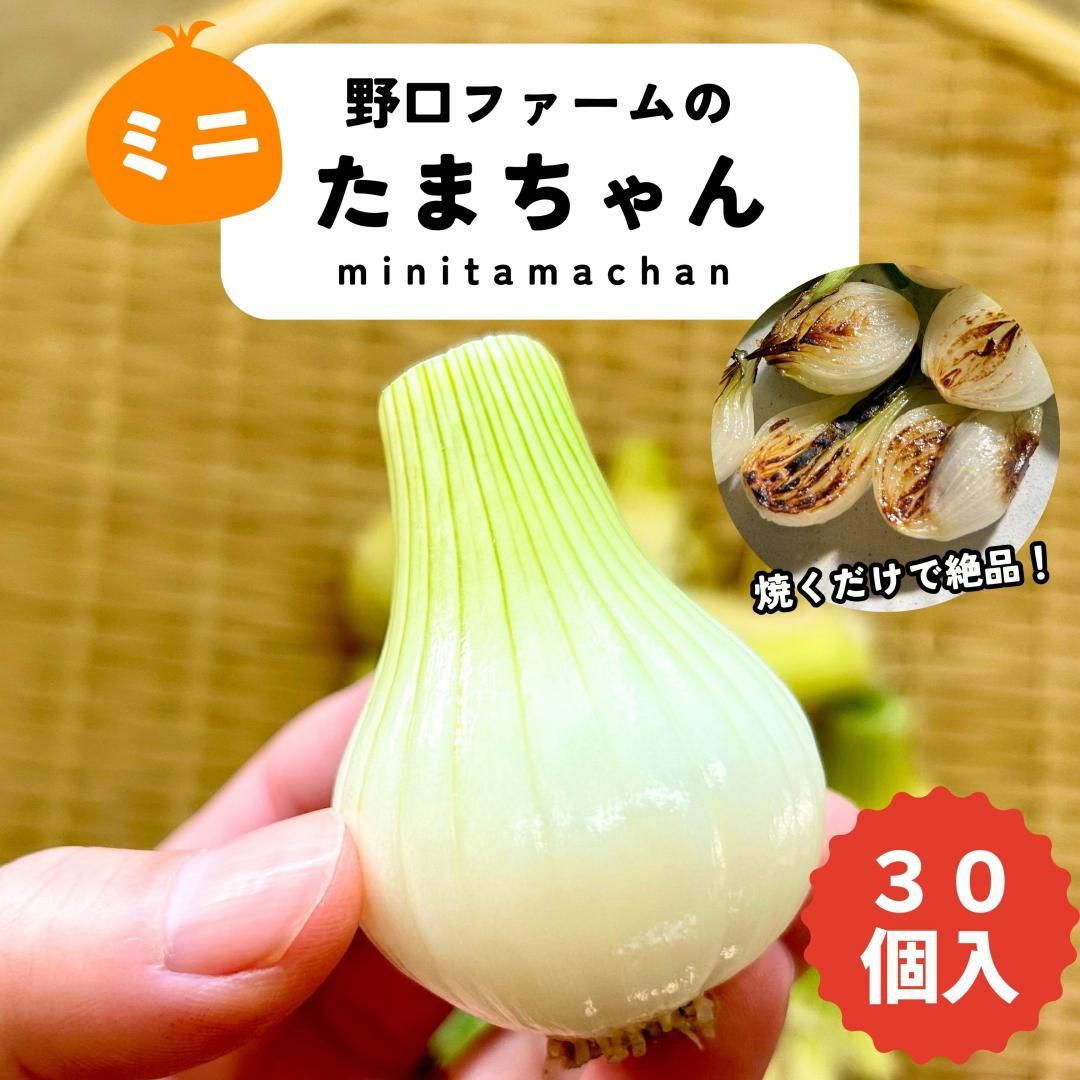 <img class='new_mark_img1' src='https://img.shop-pro.jp/img/new/icons1.gif' style='border:none;display:inline;margin:0px;padding:0px;width:auto;' />mama-yasai  ߥˤޤ 30 ھƤѤ׷ΤȤŤ͵