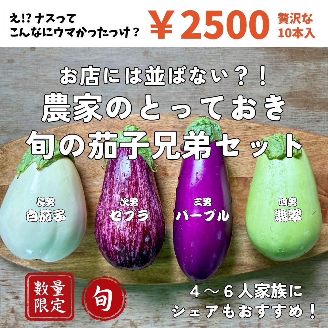<img class='new_mark_img1' src='https://img.shop-pro.jp/img/new/icons1.gif' style='border:none;display:inline;margin:0px;padding:0px;width:auto;' />mama-yasai ȤΤȤäƤܤβػҷ糧åȡڤ곰򤪳ڤߤۡڣ