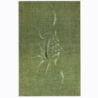 感謝の声続々！ Marie-Therese Saint-Aubin クロスステッチ図案 洋書